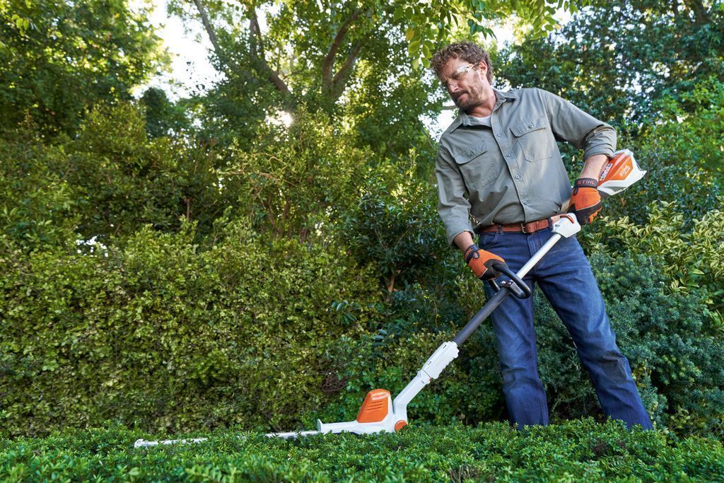 I-BODENDECKER_PFLANZEN_PFLEGEN-AW-035